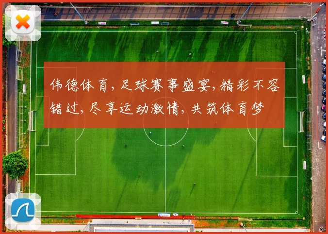 伟德体育,足球赛事盛宴,精彩不容错过,尽享运动激情,共筑体育梦