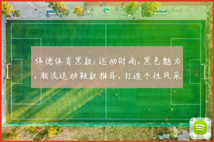 伟德体育黑款,运动时尚,黑色魅力,潮流运动鞋款推荐,打造个性风采