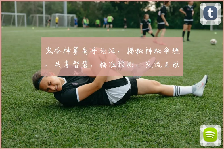 鬼谷神算高手论坛，揭秘神秘命理，共享智慧，精准预测，交流互动，共探玄机。