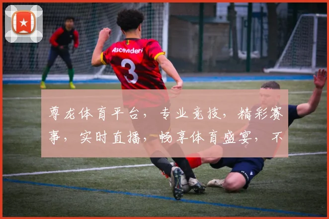 尊龙体育平台，专业竞技，精彩赛事，实时直播，畅享体育盛宴，不容错过