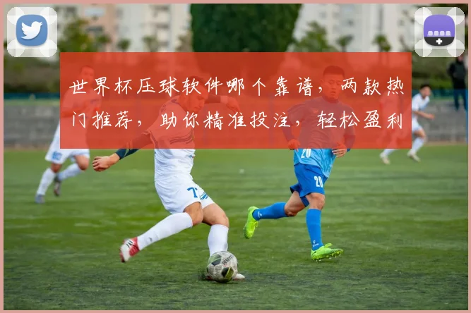 世界杯压球软件哪个靠谱，两款热门推荐，助你精准投注，轻松盈利