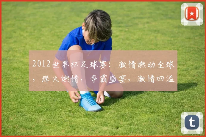 2012世界杯足球赛：激情燃动全球，烽火燃情，争霸盛宴，激情四溢